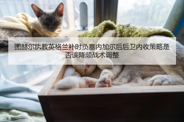 tu-he-er-zhi-jiao-ying-ge-lan-bu-shi-fu-sai-nei-jia-er-hou-hou-wei-nei-shou-ce-lve-shi-fou-gai-jiang-pin-zhan-shu-tiao-2-312.jpg