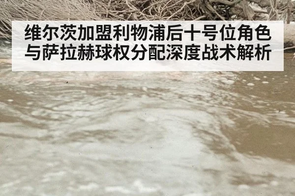 维尔茨加盟利物浦后十号位角色与萨拉赫球权分配深度战术解析